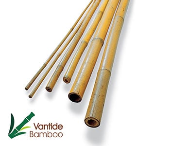 3. Bamboo Cane Detail