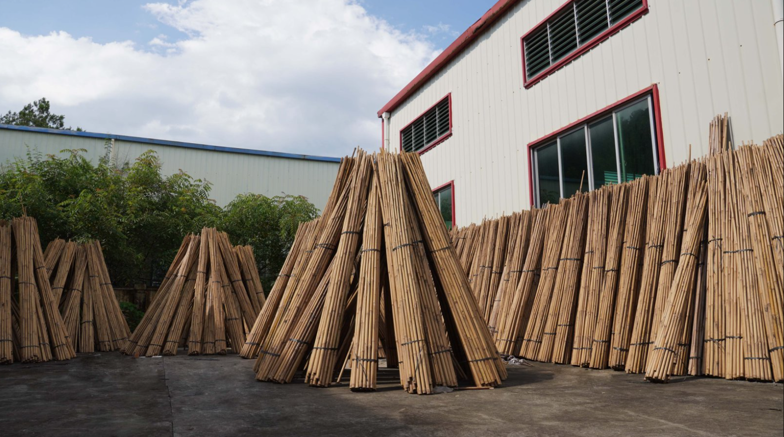 Pic-4-Vantides Factory Pic-4-Vantides Factory